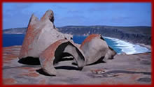 Kangaroo Island Wildlife Adventure