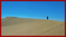 Flinders Ranges Culture, Nature & Wildlife