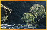 Australia Outback Tours, Outback Australia Adventures, Outback Tours, Adventure Australia, Australia Tours, Red Centre, Ayers Rock, Kangaroo Island, Barossa Valley, Coober Pedy, Uluru, 4WD Tours, German Guide