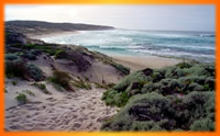 Kangaroo Island South Coast, Australia Outback Tours, Outback Australia Adventures, Outback Tours, Adventure Australia, Australia Tours, Red Centre, Ayers Rock, Kangaroo Island, Barossa Valley, Coober Pedy, Uluru, 4WD Tours, German Guide