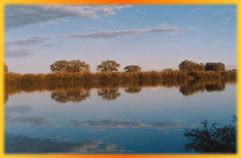 The Mighty Murray, Australia Outback Tours, Outback Australia Adventures, Outback Tours, Adventure Australia, Australia Tours, Red Centre, Ayers Rock, Kangaroo Island, Barossa Valley, Coober Pedy, Uluru, 4WD Tours, German Guide