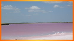 Pink lake, Australia Outback Tours, Outback Australia Adventures, Outback Tours, Adventure Australia, Australia Tours, Red Centre, Ayers Rock, Kangaroo Island, Barossa Valley, Coober Pedy, Uluru, 4WD Tours, German Guide